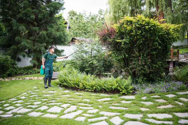 Best Exterminator Services  in Sunnyside, WA