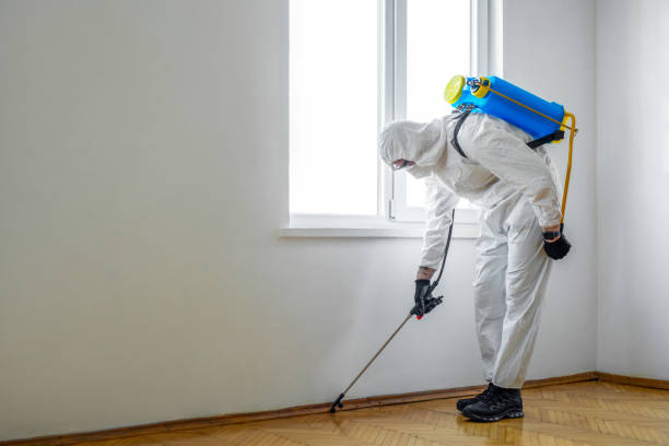 Best Affordable Pest Control Services  in Sunnyside, WA
