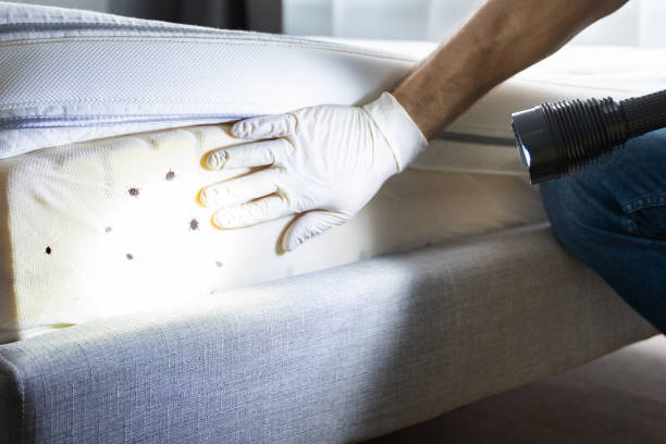 Best Affordable Pest Control Services  in Sunnyside, WA