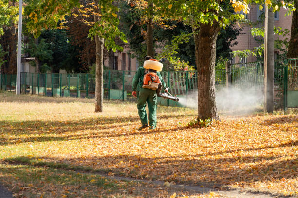 Best Rat Extermination Near Me  in Sunnyside, WA