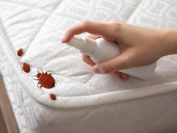 Pest Prevention Services in Sunnyside, WA
