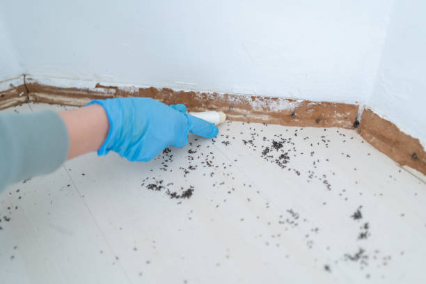Best Pest Prevention Services  in Sunnyside, WA